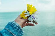 Image result for Someone Holding a Flower