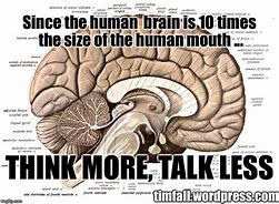 Image result for Talking Brain Meme