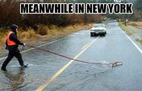 Image result for Meanwhile in New York Meme