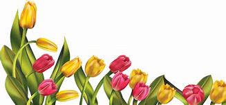 Image result for Spring Top Border Transparent Background