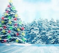 Image result for Christmas Tree Background Wide