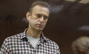 Image result for Alexei Navalny Mother