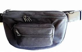 Image result for Fanny Pack Holsters for Men