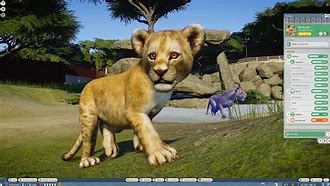 Image result for Zoo Simulator Game