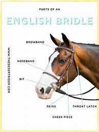 Image result for Horse Bridle Parts