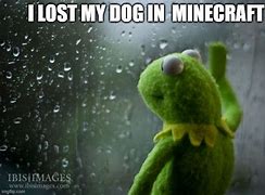 Image result for I Lost My Dog Meme