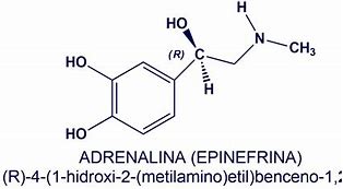 Image result for adrenalina