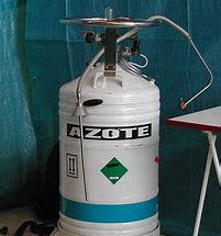 Image result for ag�ozote