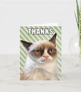 Image result for Grumpy Cat Thank You