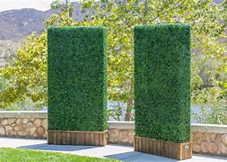 Image result for Artificial Box Hedge Plants