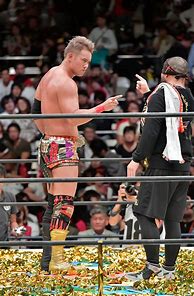Image result for Japan Wrestling Suit