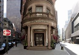 Image result for Delmonico Hotel New York