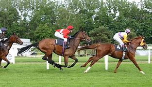 Image result for Non Copyright Images Free Horse Racing
