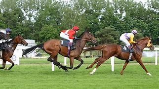 Image result for Stock Class Racing