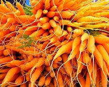 Image result for Carrot Names