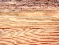 Image result for Pine Board Texture