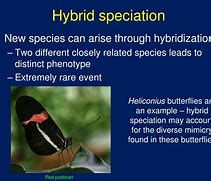Image result for Hybrid Biology