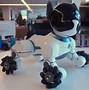 Image result for Big Dog Robot Snow