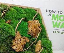 Image result for DIY Plans for Interior Moss Wall