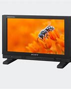 Image result for Sony OLED Display