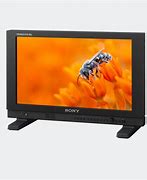Image result for Sony OLED Monitor