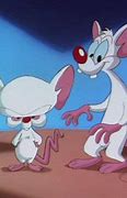 Image result for Pinky and the Brain Sleepy MEMS