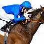 Image result for Hard Day at the Horse Racing
