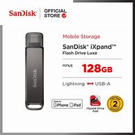Image result for Ixpand Flash drive