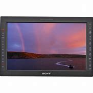 Image result for HDMI Monitor Sony