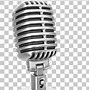 Image result for Karaoke Microphone