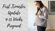Image result for 15 Weeks Pregnant Trimester
