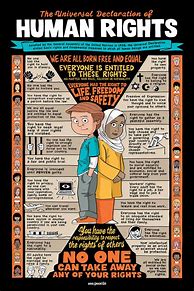 Image result for universal declaration of human rights poster