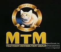 Image result for MTM TV Logo