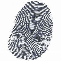 Image result for Fingerprint PNG