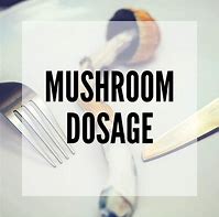 Image result for Mushroom Dosage