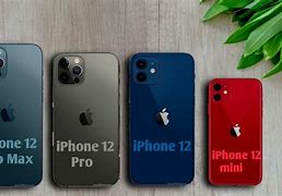 Image result for iPhone 12 Mini vs iPhone 12 Pro Max