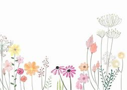 Image result for Pixabay Royalty Free Flowers