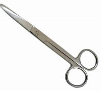 Image result for Sharp Blunt Scissors