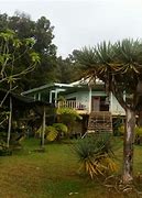 Image result for Terence McKenna Hawaii House