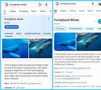 Image result for Google Search Interface