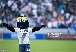 Image result for LA Galaxy Mascot