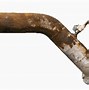 Image result for Old Rusty Broken Pipe