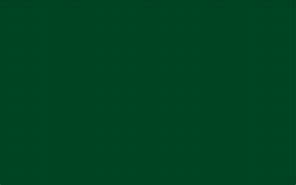 Image result for Solid Green Screen Color