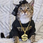 Image result for thugs life cats