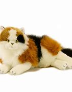 Image result for Stuffed Cat Toy