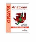 Image result for Grey's Anatomy Book