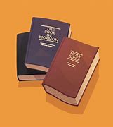 Image result for Book of Mormon and the Bible