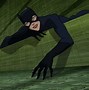 Image result for Catwoman New Batman