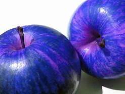 Image result for Dark Blue Apple