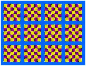 Image result for Optical Illusions with Squares